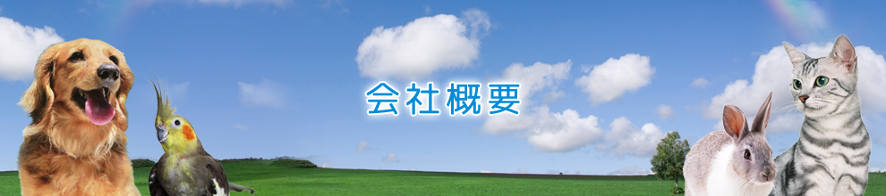 会社概要