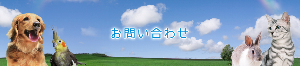 お問い合わせ