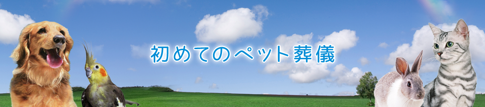 初めてのペット葬儀