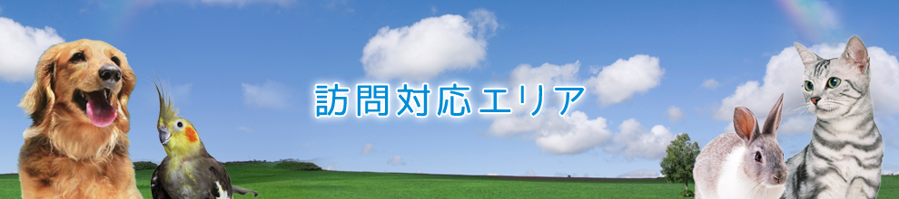訪問送迎対応エリア