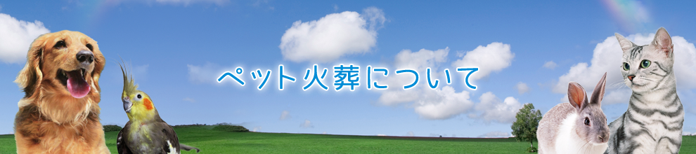 ペット火葬について